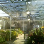 greenhouses